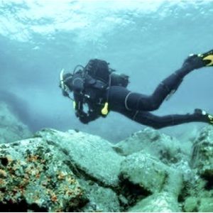 Priceless European :)